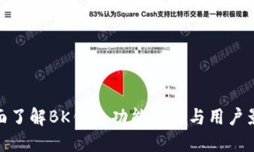 全面了解BK钱包功能限制与用户影响