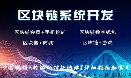 如何快速找到B特派的付款地址？详细指南和实用技巧