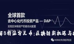 了解B特派分叉币：区块链