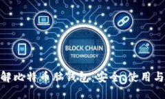 : 深入了解比特币脑钱包：