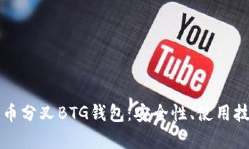 全面解析比特币分叉BTG钱包：安全性、使用技巧及未来展望