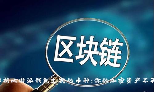 全面解析比特派钱包支持的币种：你的加密资产不再缺失！