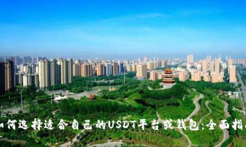 如何选择适合自己的USDT平台或钱包：全面指南