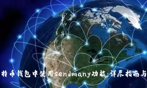 如何在比特币钱包中使用sendmany功能：详尽指南与实用技巧