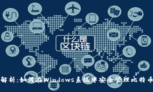 全面解析：如何在Windows系统中安全管理比特币钱包