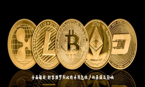 全面解析：封禁俄罗斯比特币钱包账户的原因及影响