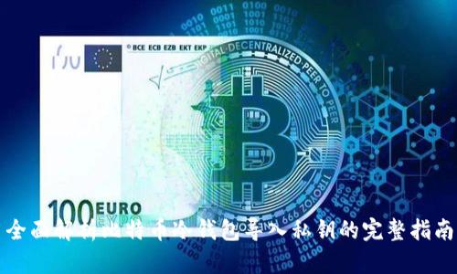 全面解析比特币冷钱包导入私钥的完整指南