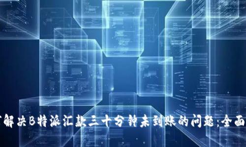 如何解决B特派汇款三十分钟未到账的问题：全面指南