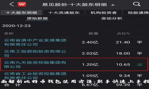全面解析比特币钱包使用方法：新手快速上手指南
