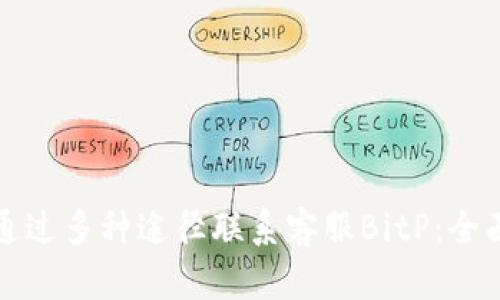 如何通过多种途径联系客服BitP：全面指南