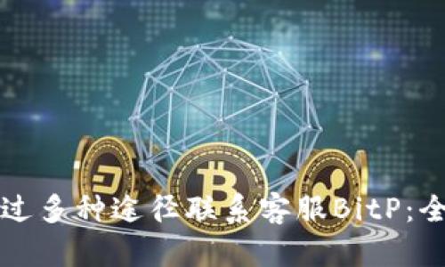 如何通过多种途径联系客服BitP：全面指南