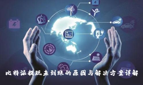 比特派提现未到账的原因与解决方案详解