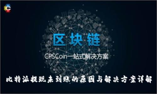 比特派提现未到账的原因与解决方案详解