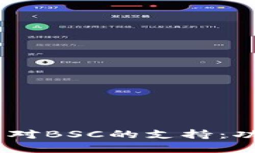 深入探讨B特派钱包对BSC的支持：功能、优势与实际应用