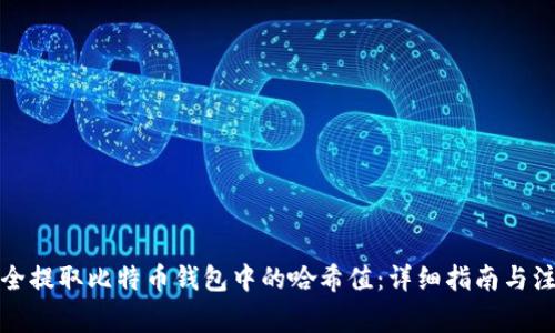 如何安全提取比特币钱包中的哈希值：详细指南与注意事项