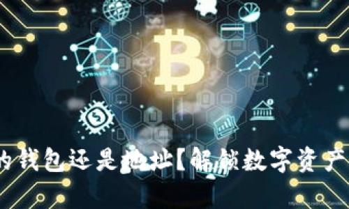比特币：你的钱包还是地址？解锁数字资产的真正含义