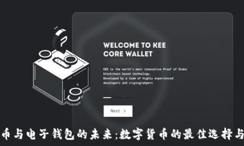   
揭秘比特币与电子钱包的未来：数字货币的最佳选择与风险分析