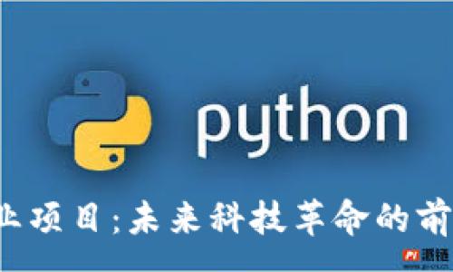 :

硅谷Web3创业项目：未来科技革命的前沿探索与实践
