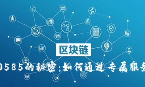揭秘“B特派”10585的秘密：如何通过专属服务提升用户体验
