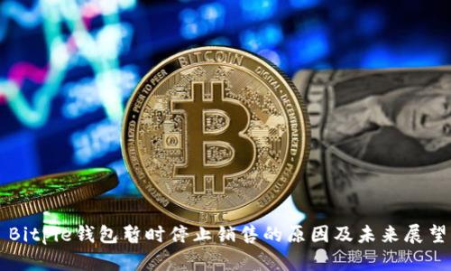 Bitpie钱包暂时停止销售的原因及未来展望