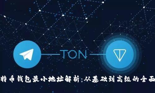 : 比特币钱包最小地址解析：从基础到高级的全面理解