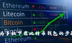全面指南：华为手机下载