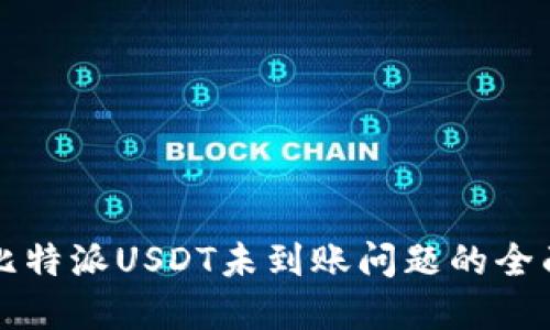 解决比特派USDT未到账问题的全面指南