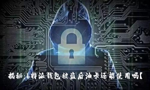 揭秘：b特派钱包被盗后油卡还能使用吗？