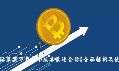 : 比特派苹果下载哪个版本最适合你？全面解析及使用推荐