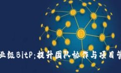 深入解析企业级BitP：提升