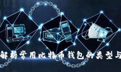 全面解析常用比特币钱包的类型与特点
