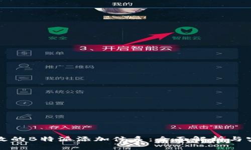 打造高效的B特派添加体系：全面解析与实用指南