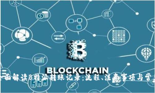 如何全面解读B特派转账记录：流程、注意事项与常见问题