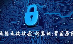 揭开B特派“无缘无故被丢
