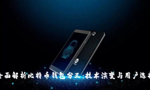 全面解析比特币钱包分叉：技术演变与用户选择