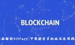 全面解析BitPapp：下载安装