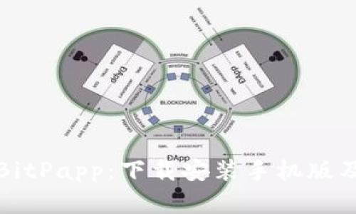 全面解析BitPapp：下载安装手机版及使用指南