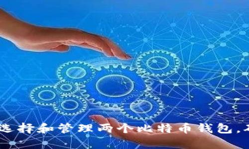 深度解析：如何选择和管理两个比特币钱包，确保安全与便捷