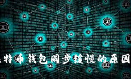 理解比特币钱包同步缓慢的原因及方法