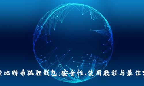 探索比特币狐狸钱包：安全性、使用教程与最佳实践