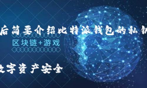 由于内容较长，我将首先提供和关键词，然后简要介绍比特派钱包的私钥生成。详细内容和相关问题将在后续提供。


深入了解比特派钱包私钥生成：保护你的数字资产安全