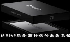 深入解析BitP服务器错误的