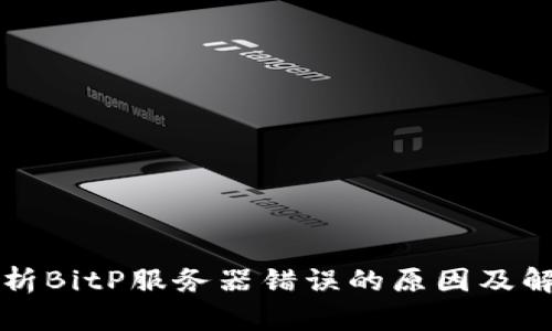 深入解析BitP服务器错误的原因及解决方案