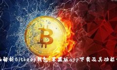 全面解析Bitkeep钱包：苹果