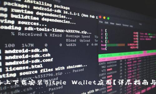 如何在iOS设备上下载安装Bitpie Wallet应用？详尽指南与常见问题解答