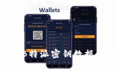 如何导出B特派密钥数据：