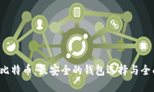 探索比特币：最安全的钱包选择与全面指南