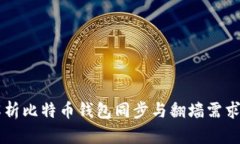 深入解析比特币钱包同步