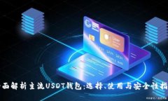 全面解析主流USDT钱包：选