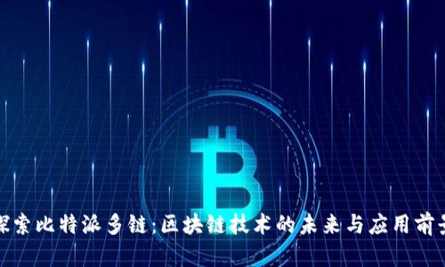探索比特派多链：区块链技术的未来与应用前景